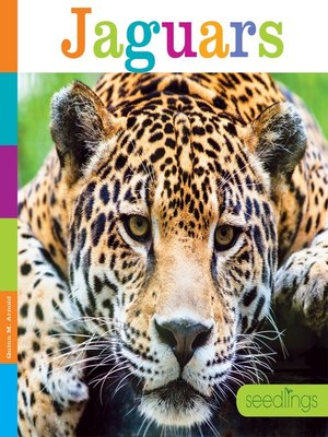 cover image of Jaguars